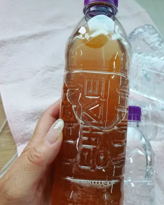 몽베스트 [MONTBEST]위드어스 500mL 20병 — 5점을 준 리뷰어가 2022년 6월 올린 사용 사진