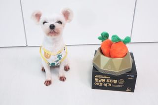 오들희님이 올린 리뷰 사진 1