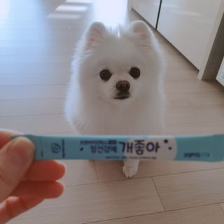 꺼네오기님이 올린 리뷰 사진 2