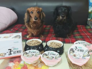 jeeun2da님이 올린 리뷰 사진 1