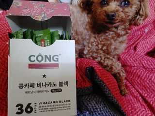 멍순이님이 올린 리뷰 사진 1