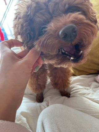 popo님이 올린 리뷰 사진 4