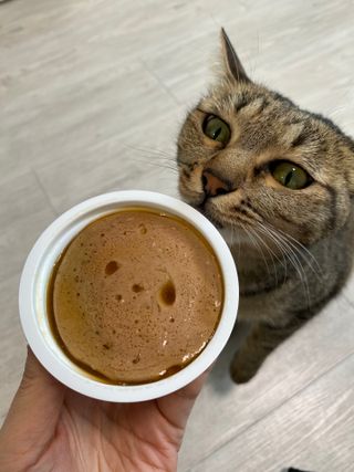 모카솜님이 올린 리뷰 사진 3