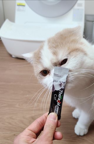 으나님이 올린 리뷰 사진 2