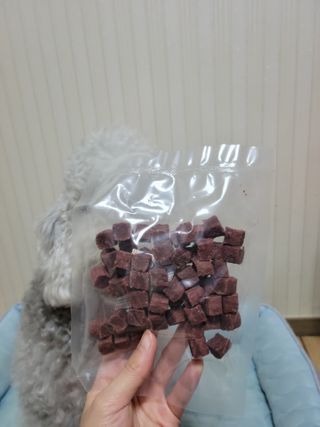 My Pet Care 천연단백질 눈건강에 개좋아 — 5점을 준 리뷰어가 2021년 2월 올린 사용 사진