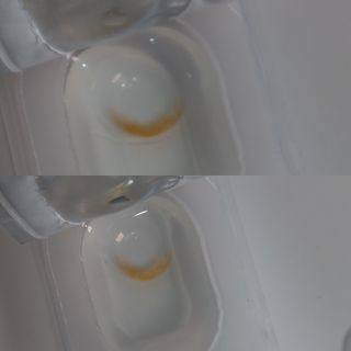 순이츠님이 올린 리뷰 사진 4