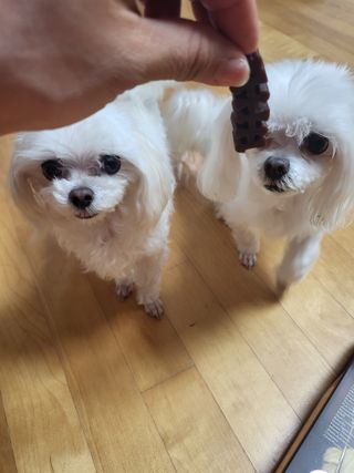 cherishlim님이 올린 리뷰 사진 3