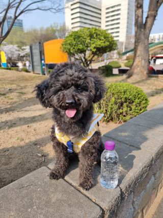 apple님이 올린 리뷰 사진 3