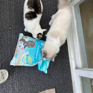 딸랑구둘🥰님이 올린 리뷰 사진 1