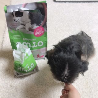 민지1985님이 올린 리뷰 사진 3