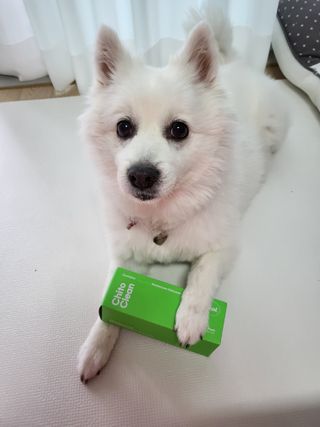 whol 키토클린 200ml - 항균항바이러스 강아지 눈 코 입 귀 세정탈취 고양이 턱드름제거 무향 워터리스 대용량 — 5점을 준 리뷰어가 2022년 10월 올린 사용 사진