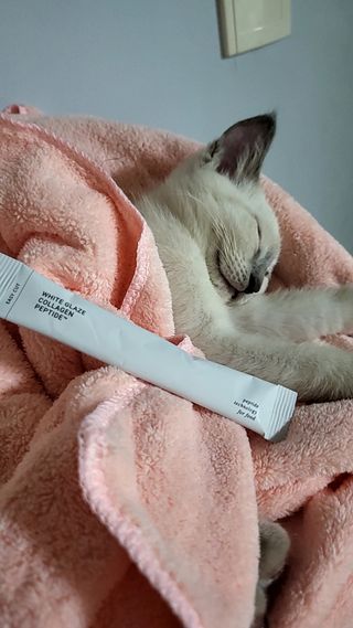 김주사랑님이 올린 리뷰 사진 4