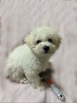 호두님이 올린 리뷰 사진 3