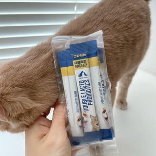 루하님이 올린 리뷰 사진 2
