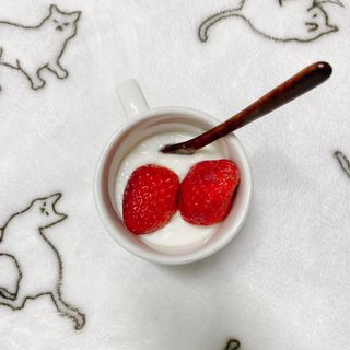 떠먹는불가리스 마이플레인 요거트 435g 6개입 — 3.5점을 준 리뷰어가 2021년 2월 올린 사용 사진