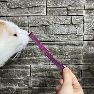 랴님이 올린 리뷰 사진 3