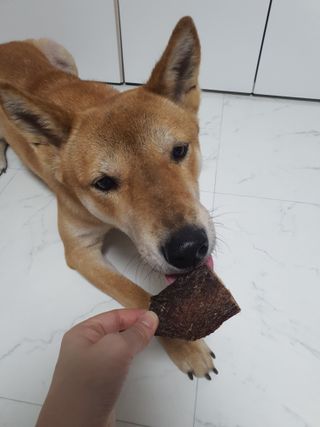 루비님이 올린 리뷰 사진 2