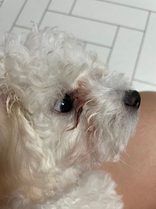 용빈맘님이 올린 리뷰 사진 2