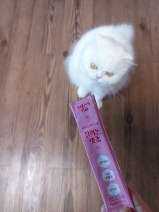 페페로니 잘 먹는 캣츄 - 알래스카 연어 24개입 — 5점을 준 리뷰어가 2021년 7월 올린 사용 사진