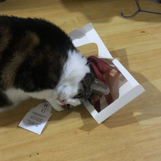 c1bzzvd5mkg님이 올린 리뷰 사진 1