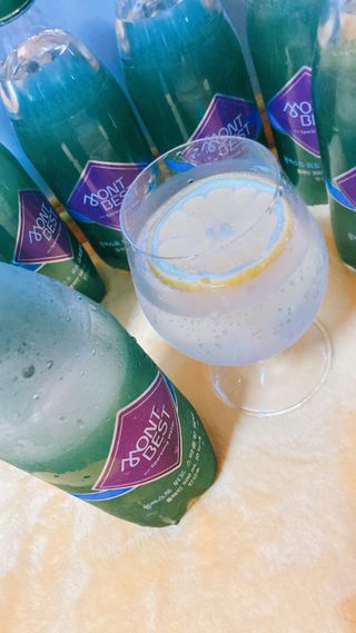 몽베스트 Montbest with Sparkling water Plain 20병 — 4점을 준 리뷰어가 2022년 6월 올린 사용 사진
