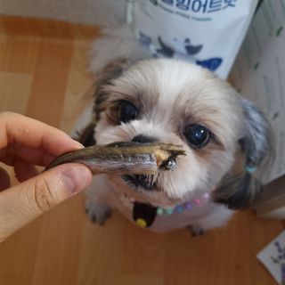 clarawon님이 올린 리뷰 사진 2