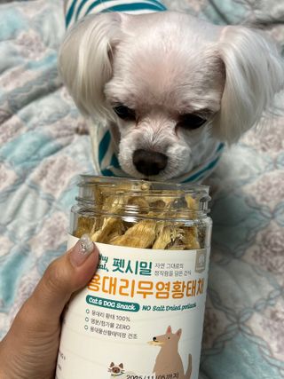 [펫시밀] 원물그대로 강원도 인제군 용대리 무염황태채 60g 강아지 고양이 프리미엄 수제간식 — 5점을 준 리뷰어가 2023년 11월 올린 사용 사진