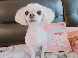 My Pet Care 천연단백질 관절건강에 개좋아 — 4점을 준 리뷰어가 2021년 3월 올린 사용 사진
