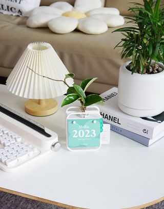 [메이크정글] 식물과 달력이 하나로, 2023년 식물캘린더 No.1 — 5점을 준 리뷰어가 2022년 10월 올린 사용 사진