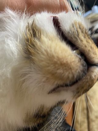 다니당근님이 올린 리뷰 사진 3