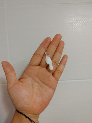 홍가짱님이 올린 리뷰 사진 2