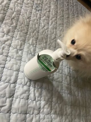 촵촵님이 올린 리뷰 사진 4