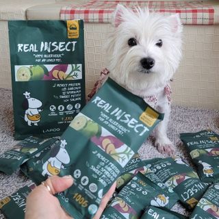 [푸디웜] 라포그  리얼인섹트 웨이트밸런스 저알러지 강아지 사료  1.2KG — 5점을 준 리뷰어가 2021년 7월 올린 사용 사진