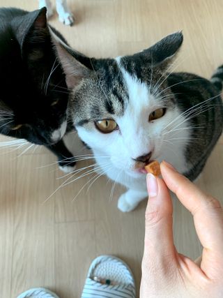 오둥이맘님이 올린 리뷰 사진 2