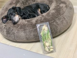 콩이누나님이 올린 리뷰 사진 3