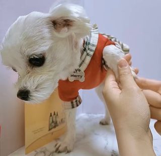 버츠비 케어플러스 릴리빙포앤노즈로션 — 4점을 준 리뷰어가 2021년 4월 올린 사용 사진