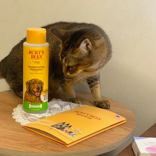 jiyakk님이 올린 리뷰 사진 3