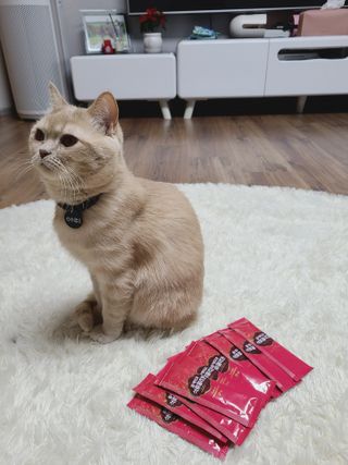 오드리님이 올린 리뷰 사진 2