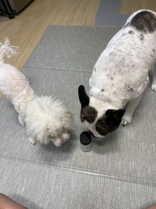 이채원님이 올린 리뷰 사진 2