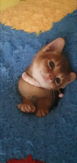 olvelynn님이 올린 리뷰 사진 4