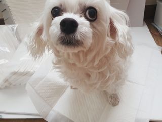 여늬님이 올린 리뷰 사진 1