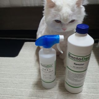 Woo7C님이 올린 리뷰 사진 1