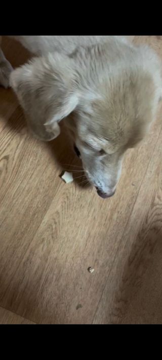 민난길님이 올린 리뷰 사진 3