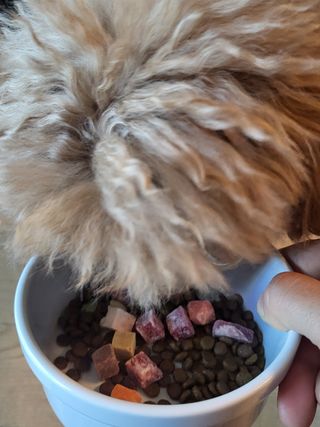 밍카님이 올린 리뷰 사진 4