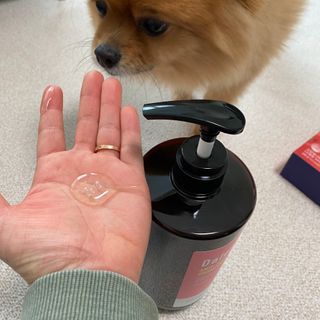 달리프 진저 베러 퍼퓸 탈모 완화 샴푸 1000ml 향 3종 — 5점을 준 리뷰어가 2021년 1월 올린 사용 사진
