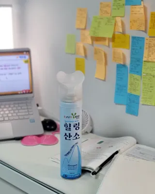 제주녀님이 올린 리뷰 사진 1