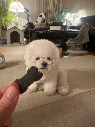 꽁지님이 올린 리뷰 사진 3