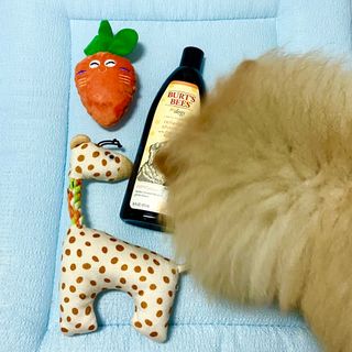 콩이언니님이 올린 리뷰 사진 1