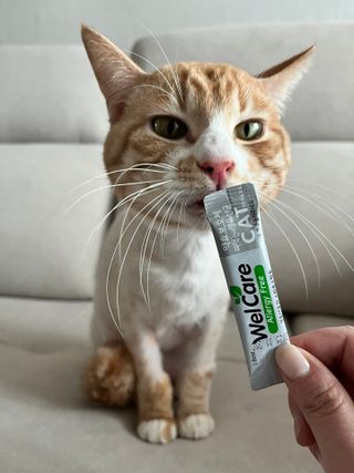 수진님이 올린 리뷰 사진 2