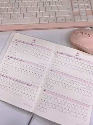 리훈 하밍이와 함께하는 숨은라인찾기 다이어트 플래너 — 5점을 준 리뷰어가 2021년 4월 올린 사용 사진
